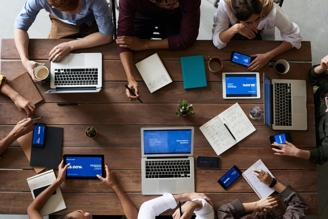 sea moss for employee productivity and wellness